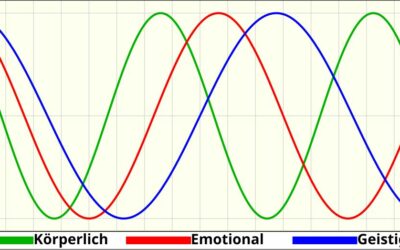 Biorhythmus Kurve verstehen